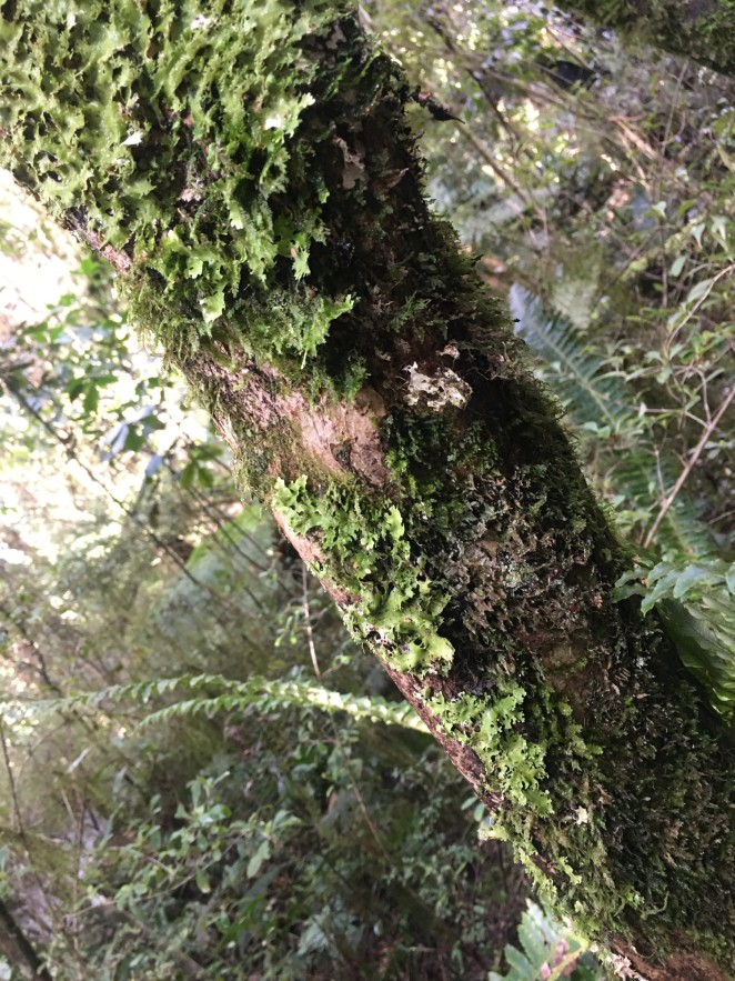 06f962378a56405abb0cf7c55e47d02f