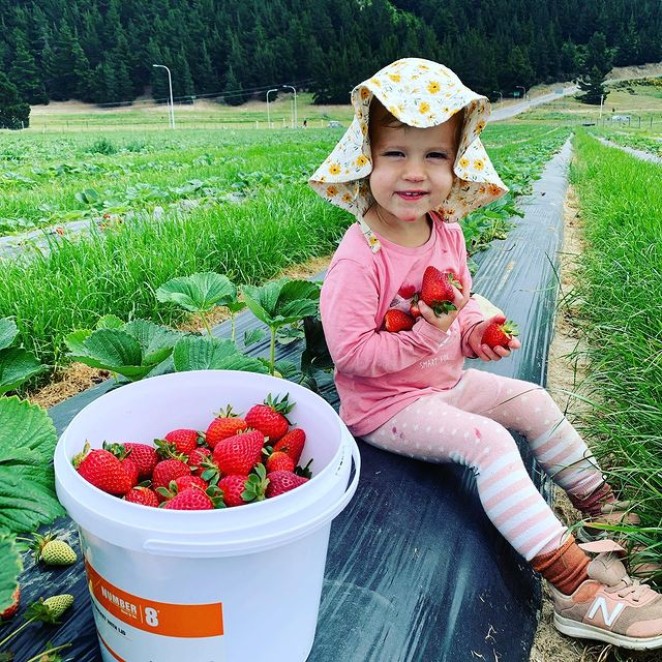 258871480 1223827434774917 8705237857388056243 n v2