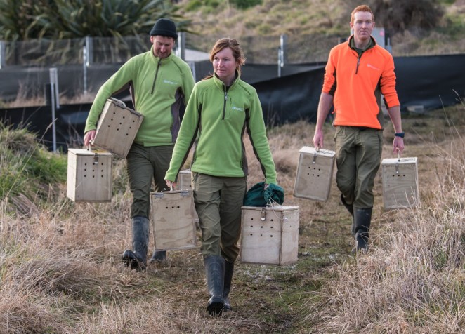 369995063 613519840969415 7849413654486808318 n