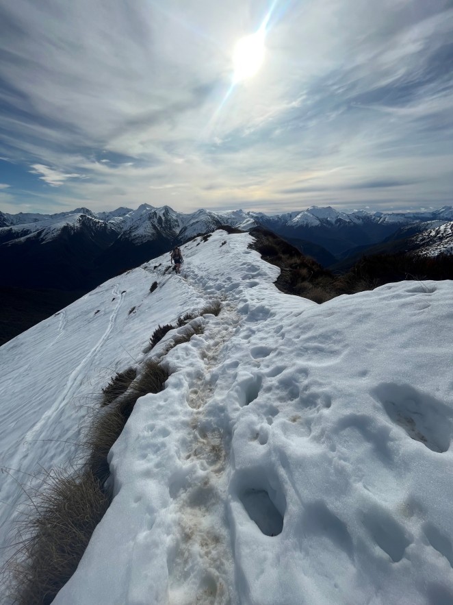 A snapshot of whats drawing so many people to Brewster Hut in Mount Aspiring National Park