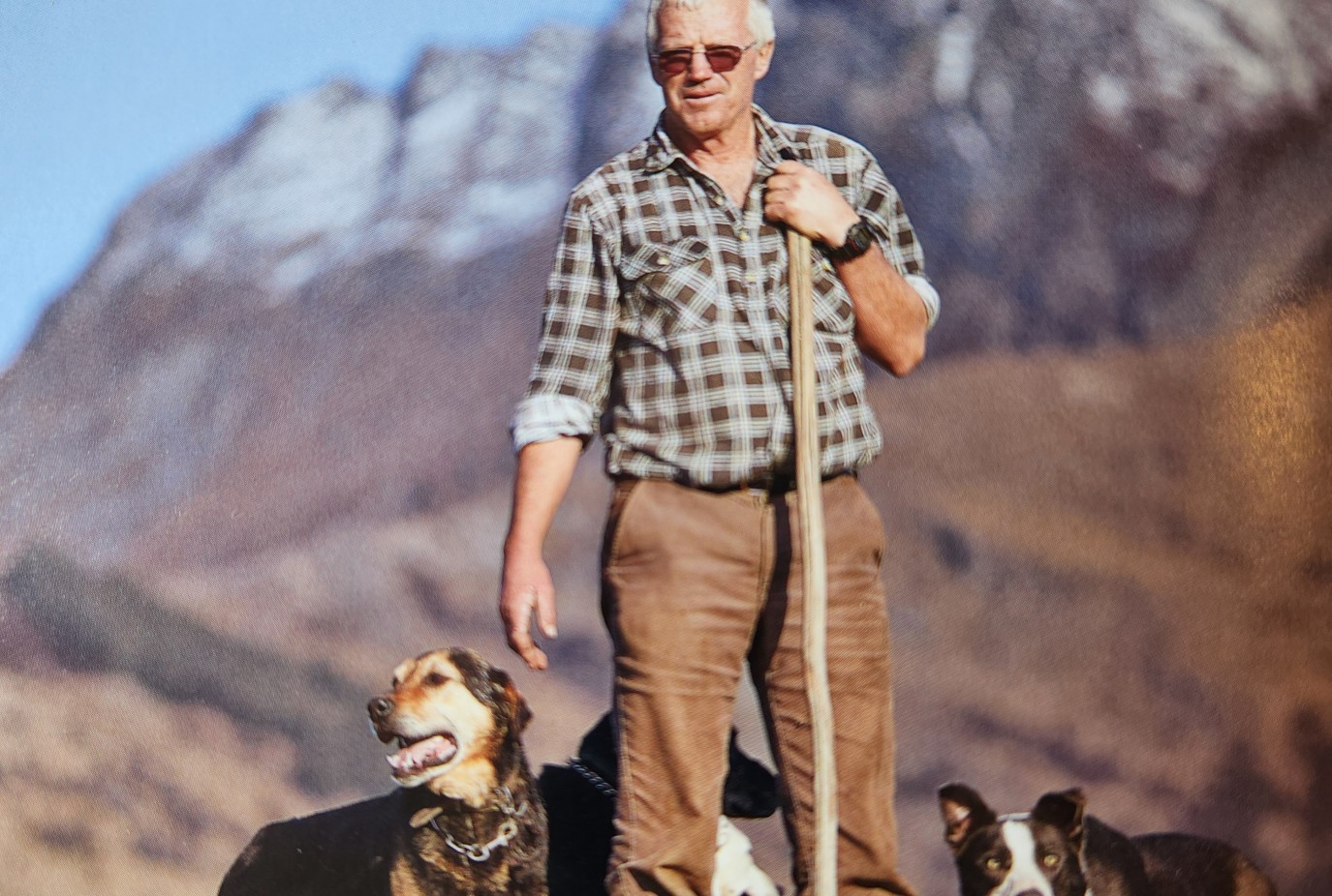 Bruce and his dogs from left Matt Sid Kee and Blue starring in David Darcys book Kiwi Dogs and Their People copy