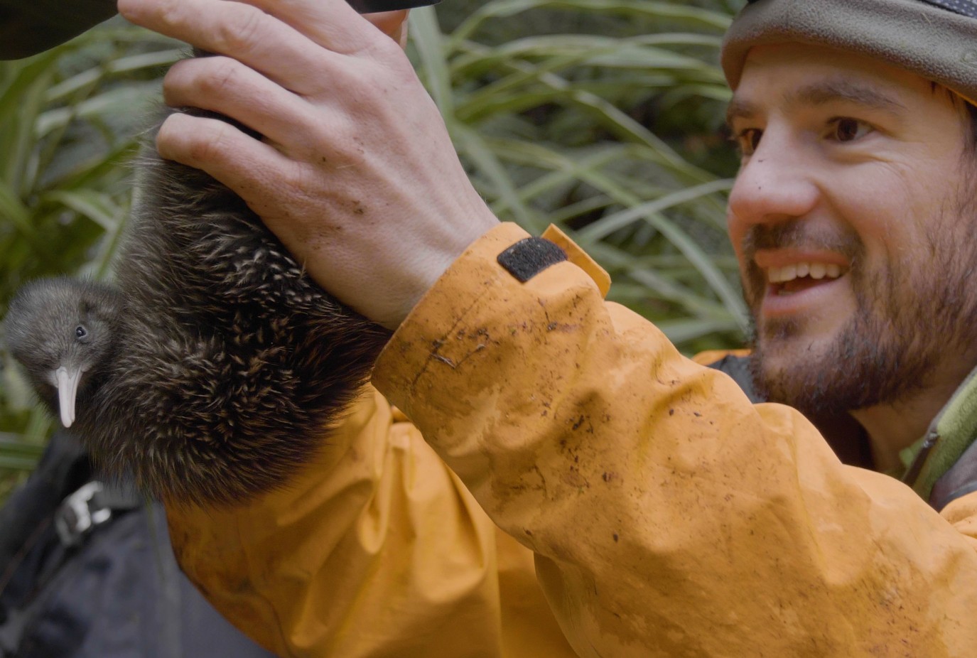 DOC ranger holding up a kiwi Credit Belle Gwilliam Department of Conservation 30