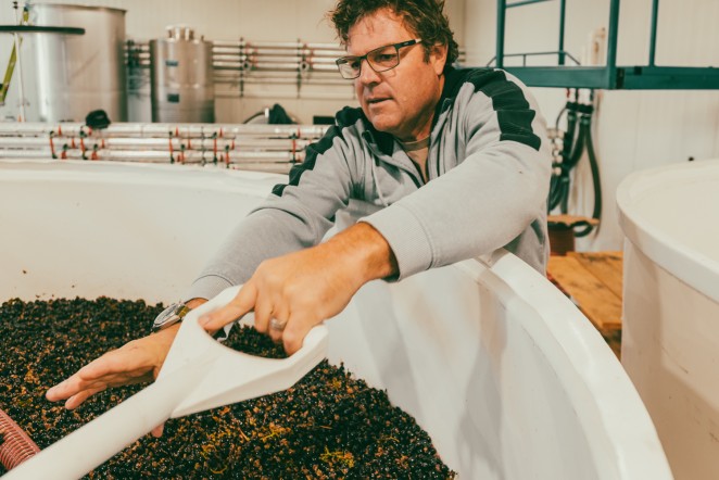 Dicey Harvest owner Harvest 22 col 020T 1