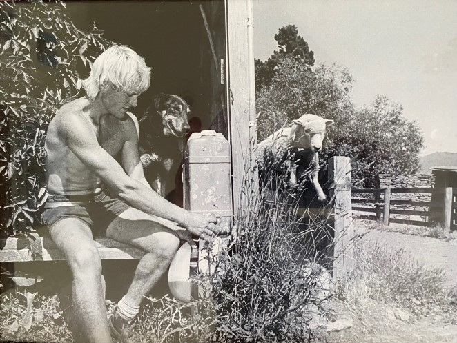 Drenching on the Crown Terrace farm in 1981