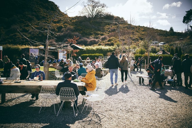 Festival photos copy