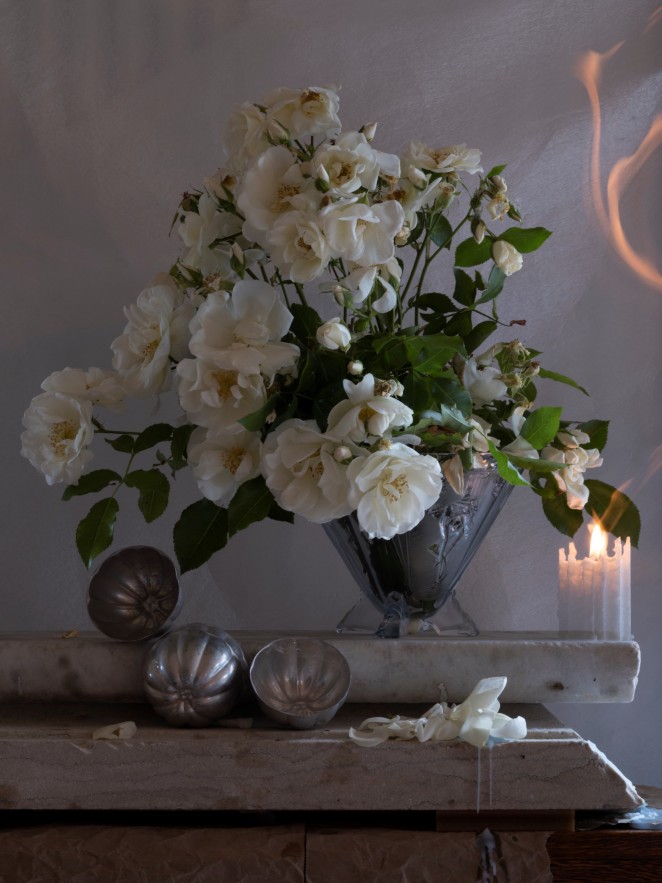 Fiona Pardington Hermes Mercury Cannelles and Parsonage Road 2023