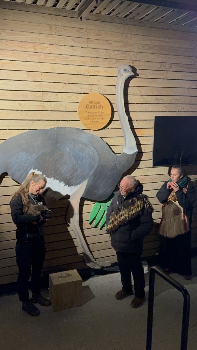Kiwi Birdlife Park
