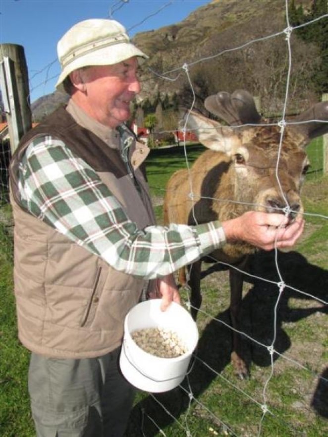Lindsay with the animals he loved 1