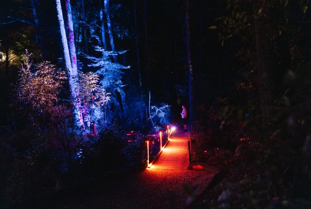 Luma enchanted 48