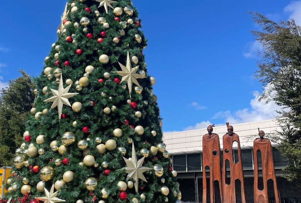 QueenstownAirportChristmasTree