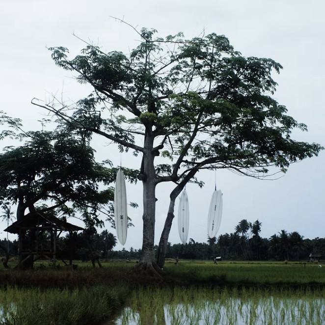 SCREENGRABS17 edited copy