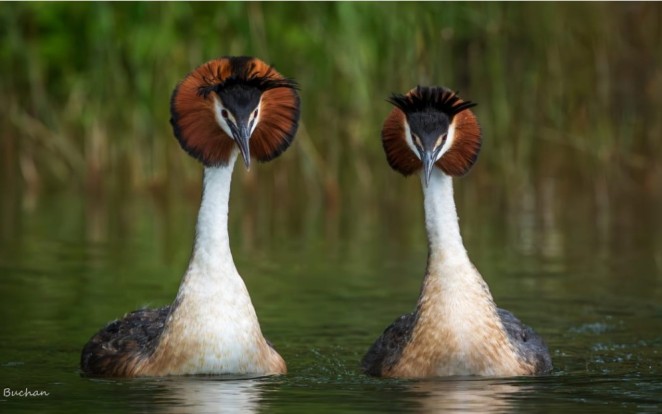 Screenshot 2023 11 15 092759