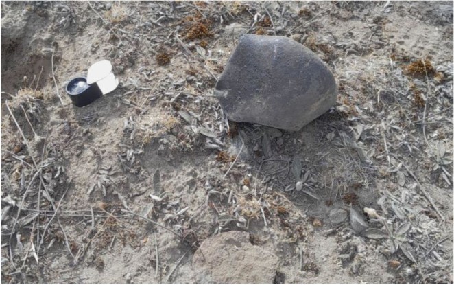 Screenshot 2024 03 22 064913