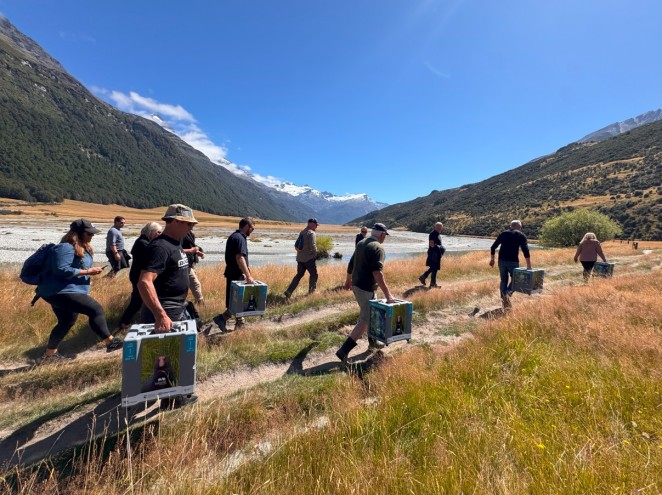 Screenshot 2025 02 12 123532