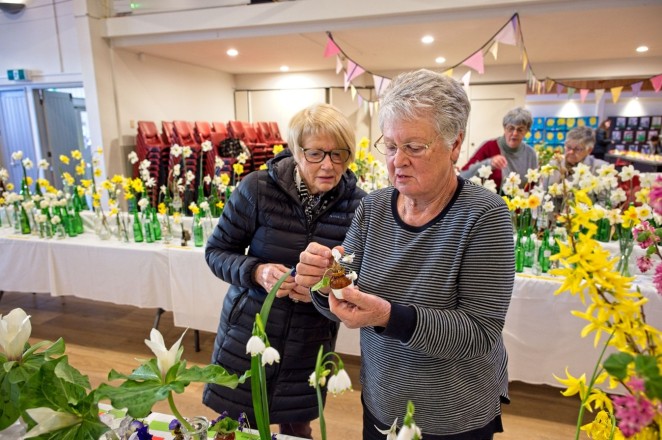 Screenshot 2025 08 26 104551