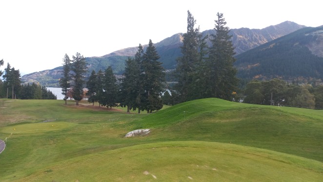 Some of the trees shown here in this cluster are among those to be felled at Kelvin Heights Golf Course this month.2