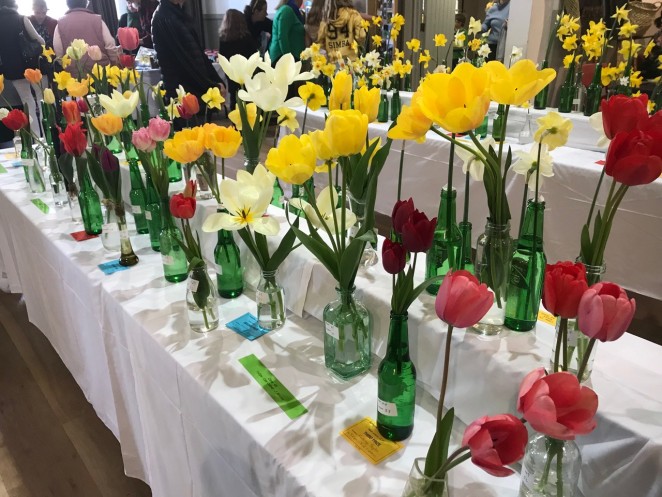 Spring is coming and so is the Arrowtowns popular Flower Show 1
