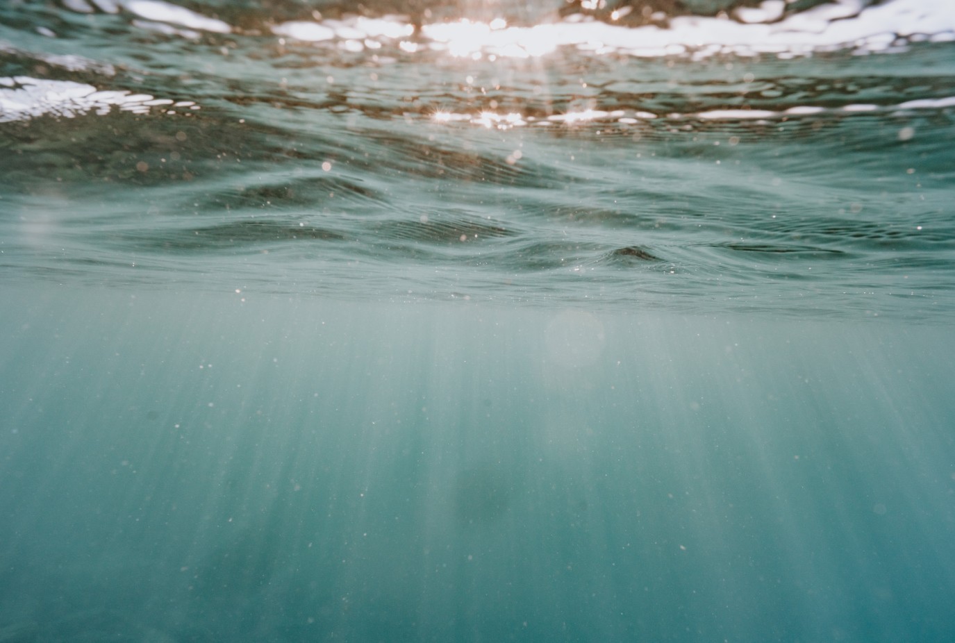 Table for Tomorrow underwater shot v2