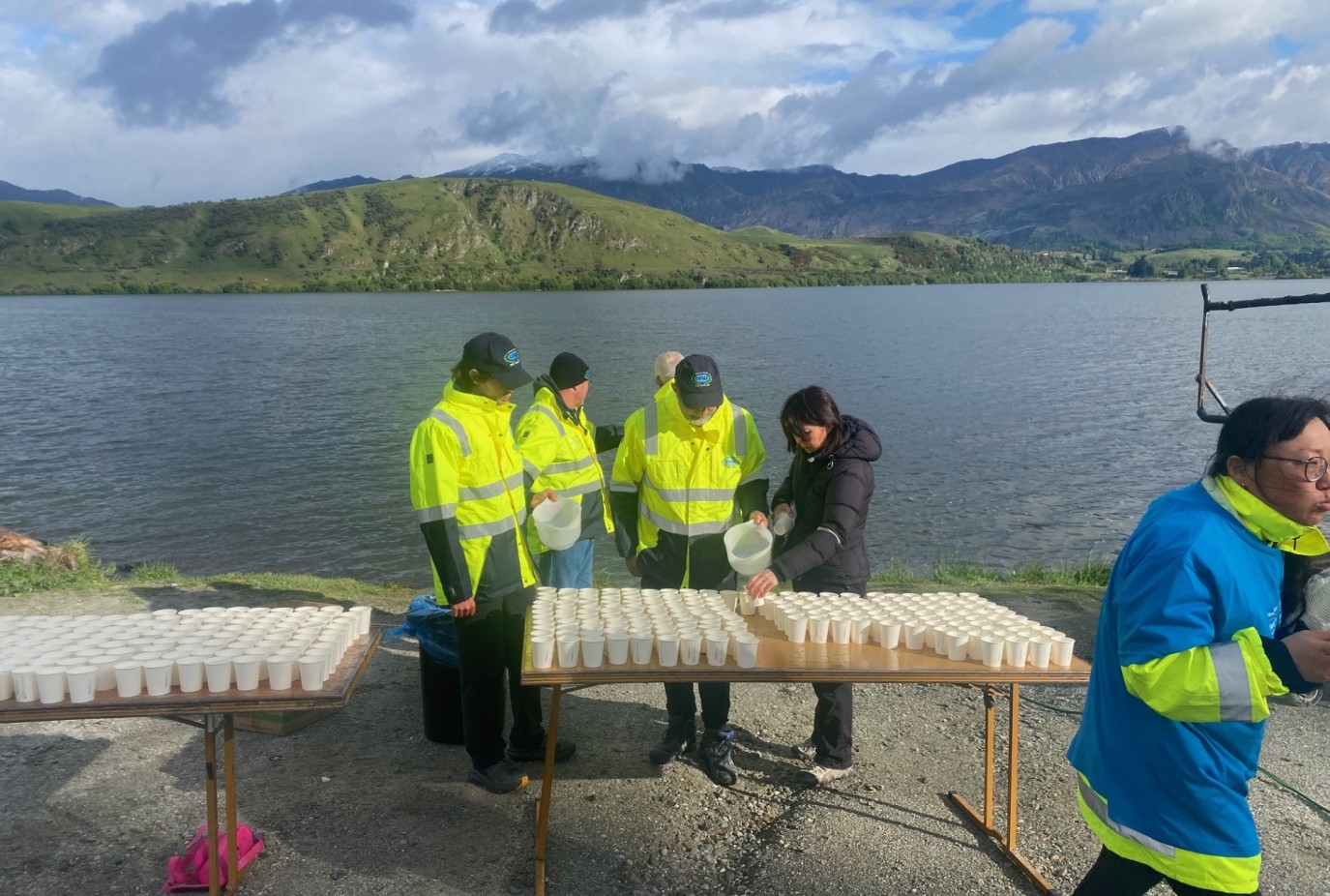 d197b5bc a546 473d 9353 42e91737df9a