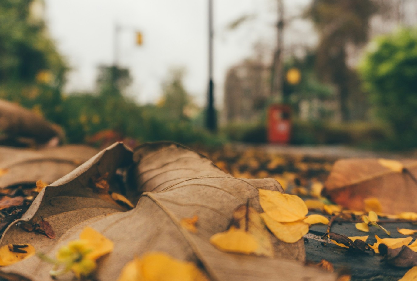 shawn rain jIBXH3Ih m8 unsplash